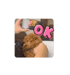 ぷあぷあスタンプだよ（個別スタンプ：14）