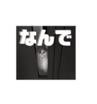 動くそらくんとうみちゃん（個別スタンプ：3）