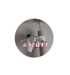 動くそらくんとうみちゃん（個別スタンプ：4）