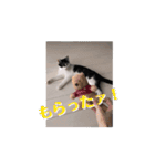 動くそらくんとうみちゃん（個別スタンプ：5）