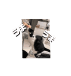 動くそらくんとうみちゃん（個別スタンプ：9）