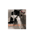 動くそらくんとうみちゃん（個別スタンプ：10）