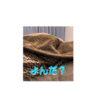 動くそらくんとうみちゃん（個別スタンプ：11）