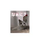 動くそらくんとうみちゃん（個別スタンプ：12）