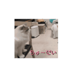 動くそらくんとうみちゃん（個別スタンプ：13）