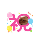 山メロファミリー（個別スタンプ：7）
