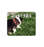 べにせい（個別スタンプ：4）