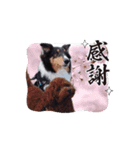 べにせい（個別スタンプ：7）