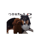 べにせい（個別スタンプ：15）