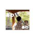 けんしんだよ。〜楽しかったあの時編〜（個別スタンプ：11）