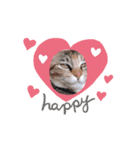 ぴしゅまる♡伽羅ちゃん（個別スタンプ：6）