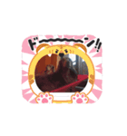 ダックスフントたからたん（個別スタンプ：4）