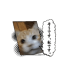 山メロ (そうです)（個別スタンプ：2）