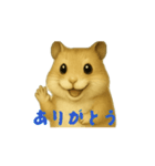 男前ハムスター（個別スタンプ：1）