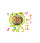 カエルリアル（個別スタンプ：1）