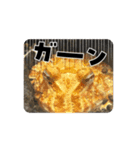 カエルリアル（個別スタンプ：3）