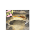 カエルリアル（個別スタンプ：4）
