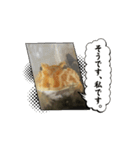 カエルリアル（個別スタンプ：5）