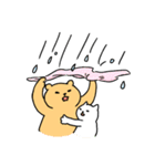 毎日クマスタンプ春夏（個別スタンプ：17）