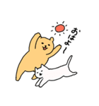 毎日クマスタンプ春夏（個別スタンプ：20）
