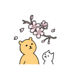 毎日クマスタンプ春夏（個別スタンプ：25）