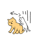 毎日クマスタンプ春夏（個別スタンプ：27）