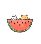 毎日クマスタンプ春夏（個別スタンプ：31）