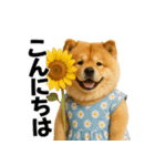 夏に使える♡かわいいチャウチャウ犬（個別スタンプ：4）