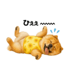 夏に使える♡かわいいチャウチャウ犬（個別スタンプ：7）