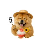 夏に使える♡かわいいチャウチャウ犬（個別スタンプ：13）