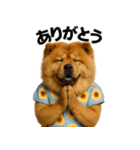 夏に使える♡かわいいチャウチャウ犬（個別スタンプ：15）