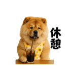 夏に使える♡かわいいチャウチャウ犬（個別スタンプ：16）