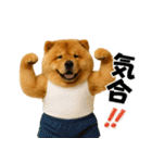 夏に使える♡かわいいチャウチャウ犬（個別スタンプ：18）