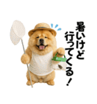 夏に使える♡かわいいチャウチャウ犬（個別スタンプ：19）
