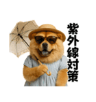 夏に使える♡かわいいチャウチャウ犬（個別スタンプ：21）