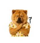 夏に使える♡かわいいチャウチャウ犬（個別スタンプ：23）