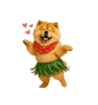 夏に使える♡かわいいチャウチャウ犬（個別スタンプ：24）