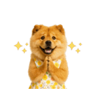 夏に使える♡かわいいチャウチャウ犬（個別スタンプ：25）