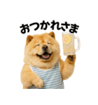夏に使える♡かわいいチャウチャウ犬（個別スタンプ：26）