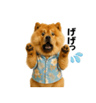 夏に使える♡かわいいチャウチャウ犬（個別スタンプ：27）
