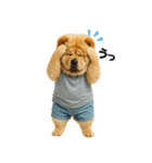 夏に使える♡かわいいチャウチャウ犬（個別スタンプ：30）