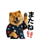 夏に使える♡かわいいチャウチャウ犬（個別スタンプ：34）