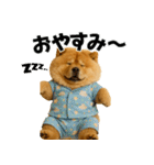 夏に使える♡かわいいチャウチャウ犬（個別スタンプ：35）