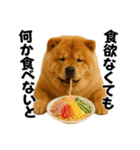 夏に使える♡かわいいチャウチャウ犬（個別スタンプ：40）