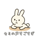 夏、全力で楽しむ動物たち！（個別スタンプ：37）