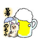 夏スタンプ ヨーキー犬（個別スタンプ：4）