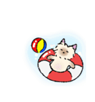 夏スタンプ ヨーキー犬（個別スタンプ：7）