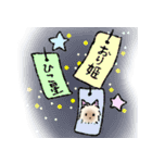 夏スタンプ ヨーキー犬（個別スタンプ：11）