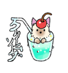 夏スタンプ ヨーキー犬（個別スタンプ：15）
