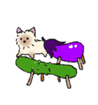 夏スタンプ ヨーキー犬（個別スタンプ：16）